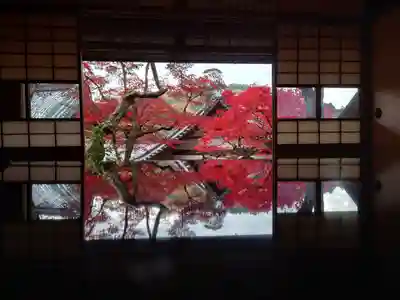 柳谷観音　楊谷寺(京都府)
