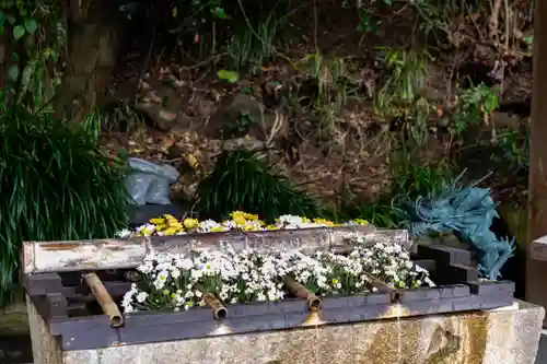 鵜戸神宮(宮崎県)