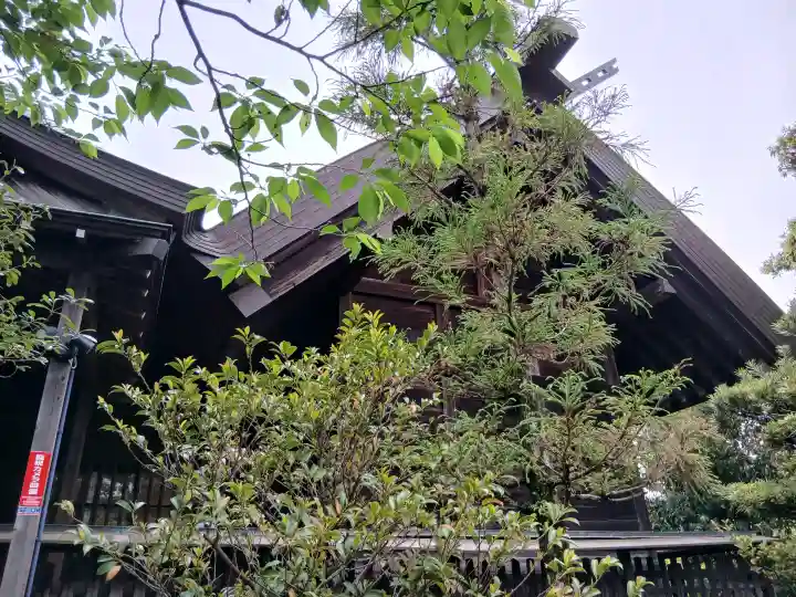 白幡天神社の{uncategorized: "未分類", other: "その他", undefined: "問題あり", building: "その他建物", grave: "お墓", sacred_gate: "鳥居", guardian: "狛犬", statue: "像", buddha: "仏像", history: "歴史", nature: "自然", garden: "庭園", animal: "動物", pagoda: "塔", temizu: "手水舎", mountain_gate: "山門・神門", sanctuary: "本殿・本堂", subordinate: "末社・摂社", art: "芸術", scenery: "景色", jizo: "地蔵", ema: "絵馬", goshuin: "御朱印", omikuji: "おみくじ", items: "授与品その他", amulet: "お守り", goshuincho: "御朱印帳", eats: "食事", festival: "お祭り", votive_dance: "神楽", shichigosan: "七五三参", wedding: "結婚式", experience: "体験その他", initially: "初詣", around: "周辺", anti_infection: "感染症対策"}