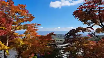 善峯寺(京都府)