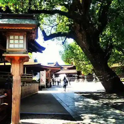 金刀比羅宮のその他建物