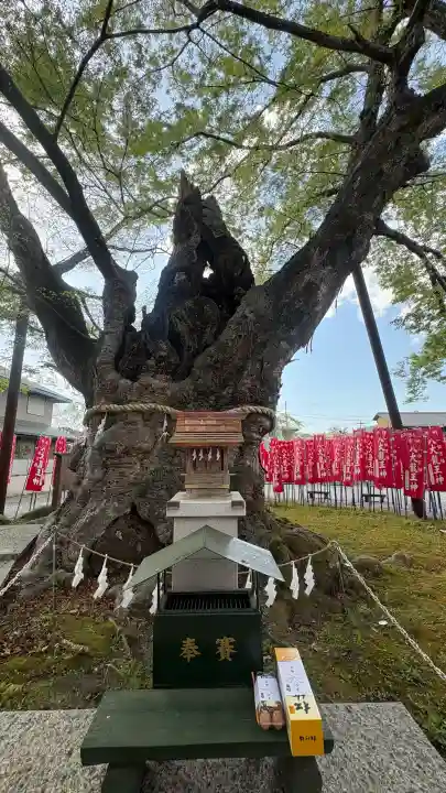 秩父今宮神社の{uncategorized: "未分類", other: "その他", undefined: "問題あり", building: "その他建物", grave: "お墓", sacred_gate: "鳥居", guardian: "狛犬", statue: "像", buddha: "仏像", history: "歴史", nature: "自然", garden: "庭園", animal: "動物", pagoda: "塔", temizu: "手水舎", mountain_gate: "山門・神門", sanctuary: "本殿・本堂", subordinate: "末社・摂社", art: "芸術", scenery: "景色", jizo: "地蔵", ema: "絵馬", goshuin: "御朱印", omikuji: "おみくじ", items: "授与品その他", amulet: "お守り", goshuincho: "御朱印帳", eats: "食事", festival: "お祭り", votive_dance: "神楽", shichigosan: "七五三参", wedding: "結婚式", experience: "体験その他", initially: "初詣", around: "周辺", anti_infection: "感染症対策"}