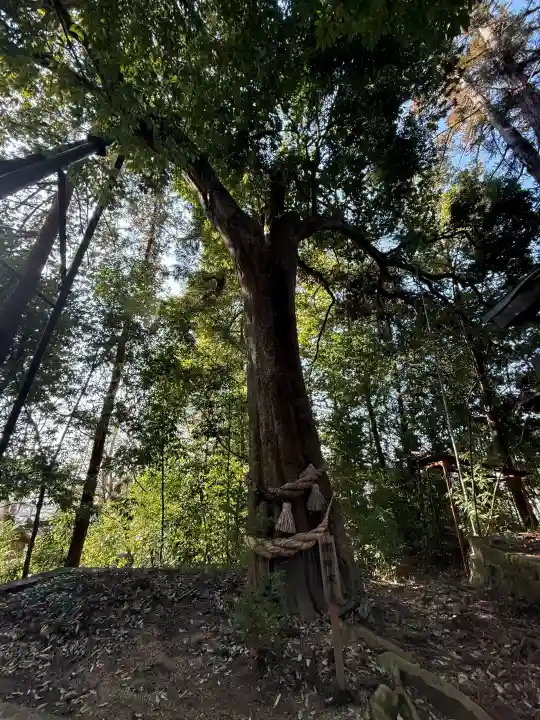 栗川稲荷神社の{uncategorized: "未分類", other: "その他", undefined: "問題あり", building: "その他建物", grave: "お墓", sacred_gate: "鳥居", guardian: "狛犬", statue: "像", buddha: "仏像", history: "歴史", nature: "自然", garden: "庭園", animal: "動物", pagoda: "塔", temizu: "手水舎", mountain_gate: "山門・神門", sanctuary: "本殿・本堂", subordinate: "末社・摂社", art: "芸術", scenery: "景色", jizo: "地蔵", ema: "絵馬", goshuin: "御朱印", omikuji: "おみくじ", items: "授与品その他", amulet: "お守り", goshuincho: "御朱印帳", eats: "食事", festival: "お祭り", votive_dance: "神楽", shichigosan: "七五三参", wedding: "結婚式", experience: "体験その他", initially: "初詣", around: "周辺", anti_infection: "感染症対策"}