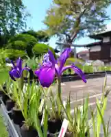 正泉寺(神奈川県)