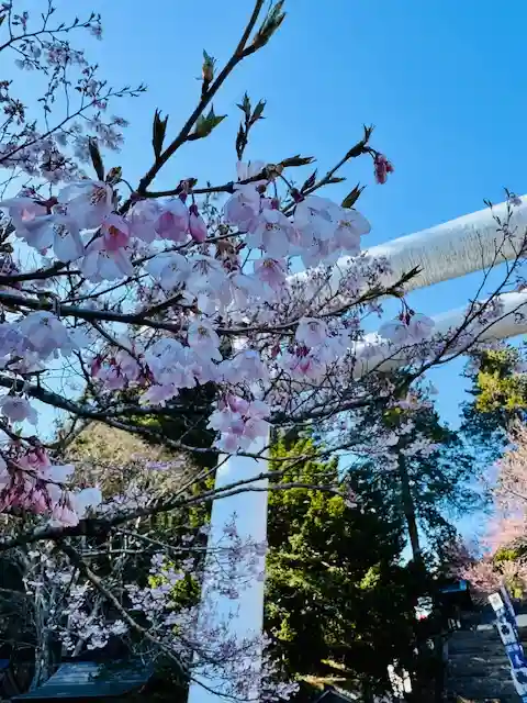 土津神社|こどもと出世の神さま(福島県)