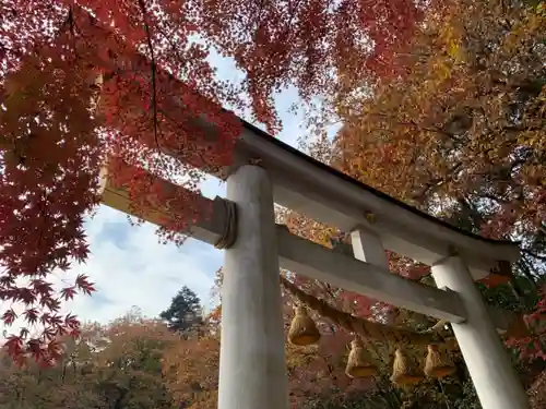 宝登山神社の鳥居