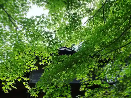 滑川神社 - 仕事と子どもの守り神の自然