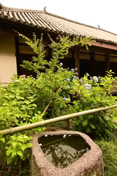 矢田寺(奈良県)