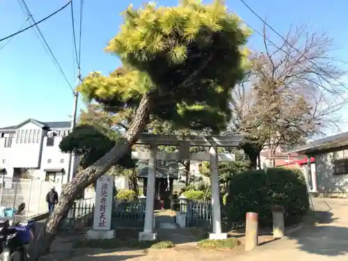 渋池弁財天社の鳥居