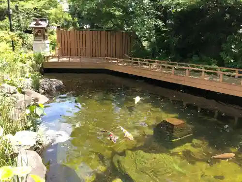 愛宕神社の動物