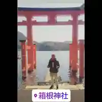 箱根神社の鳥居