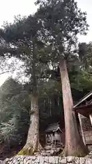 温江神社(鳥取県)