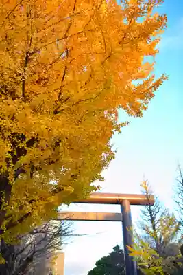 靖國神社(東京都)