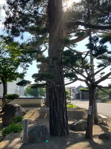 本願寺帯広別院の自然