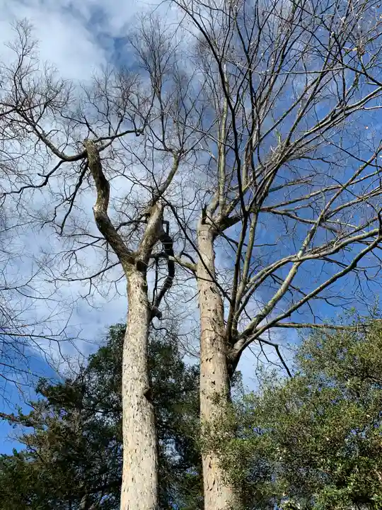 妻沼聖天山歓喜院のその他建物