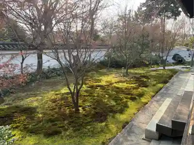 興聖寺(京都府)