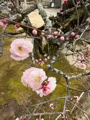 岩津天満宮(愛知県)