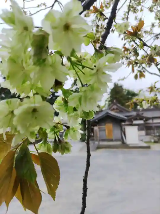 武蔵第六天神社(埼玉県)