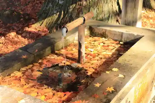 白河神社の手水