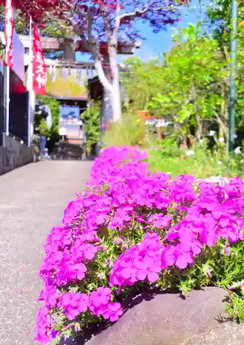 横浜御嶽神社(神奈川県)