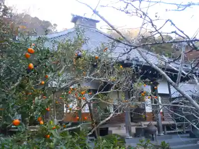 光則寺のその他建物