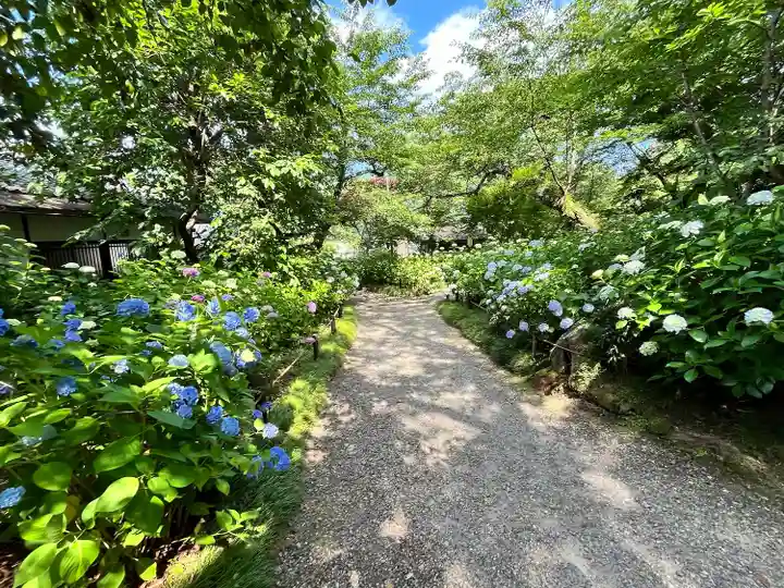 念佛院(奈良県)