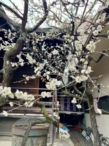 千束稲荷神社の{uncategorized: "未分類", other: "その他", undefined: "問題あり", building: "その他建物", grave: "お墓", sacred_gate: "鳥居", guardian: "狛犬", statue: "像", buddha: "仏像", history: "歴史", nature: "自然", garden: "庭園", animal: "動物", pagoda: "塔", temizu: "手水舎", mountain_gate: "山門・神門", sanctuary: "本殿・本堂", subordinate: "末社・摂社", art: "芸術", scenery: "景色", jizo: "地蔵", ema: "絵馬", goshuin: "御朱印", omikuji: "おみくじ", items: "授与品その他", amulet: "お守り", goshuincho: "御朱印帳", eats: "食事", festival: "お祭り", votive_dance: "神楽", shichigosan: "七五三参", wedding: "結婚式", experience: "体験その他", initially: "初詣", around: "周辺", anti_infection: "感染症対策"}