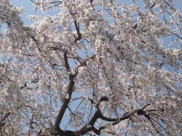 妙福寺(神奈川県)