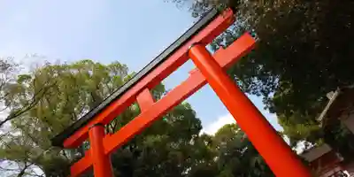 賀茂御祖神社(下鴨神社)の鳥居