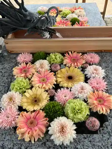 川越八幡宮(埼玉県)