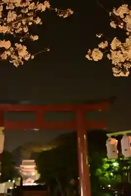 鶴岡八幡宮(神奈川県)