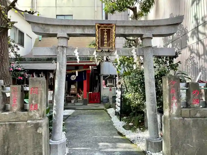 讃岐小白稲荷神社の鳥居