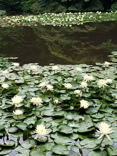 明治神宮(東京都)
