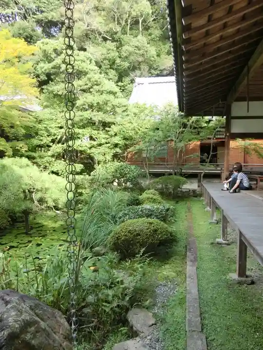禅林寺(永観堂)の庭園