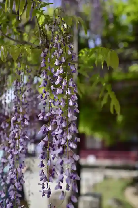 笠間稲荷神社の自然