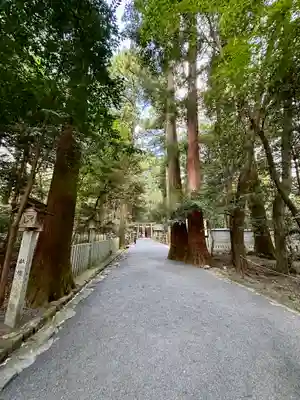 椿大神社(三重県)