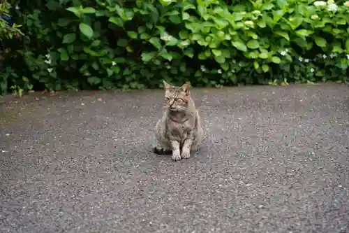 白金氷川神社(東京都)
