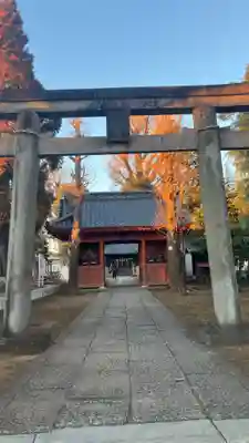 諏訪神社(東京都)