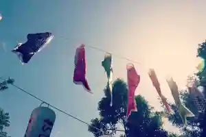 くまくま神社(導きの社 熊野町熊野神社)のお祭り 2022年05月05日(木)〜(2022年05月04日(水) 19時11分07秒投稿)