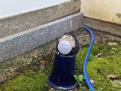 大松禅寺(京都府)