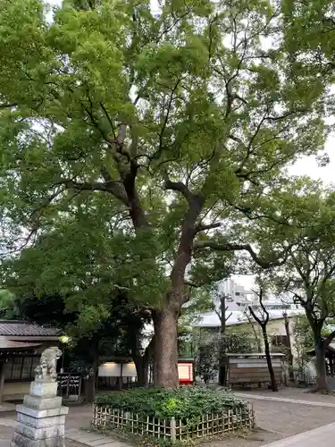 王子神社の自然