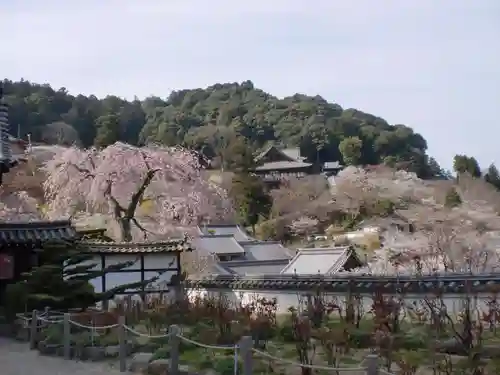 長谷寺の景色