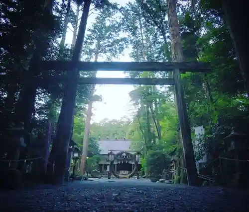 椿大神社の鳥居