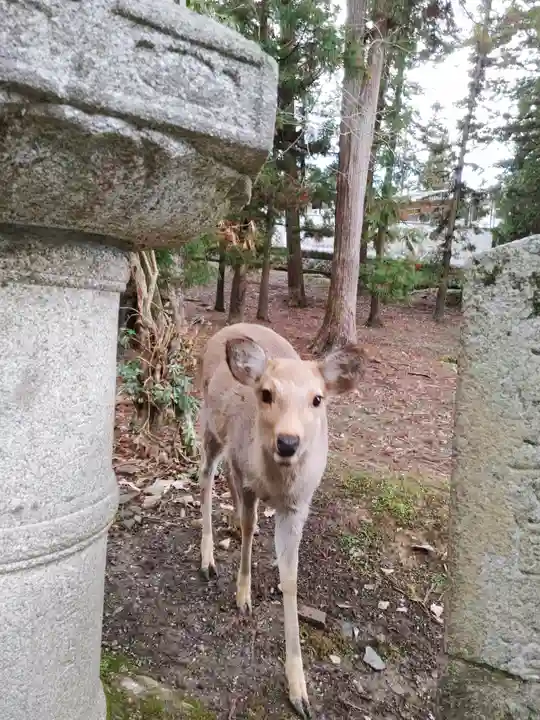 東大寺 二月堂(奈良県)