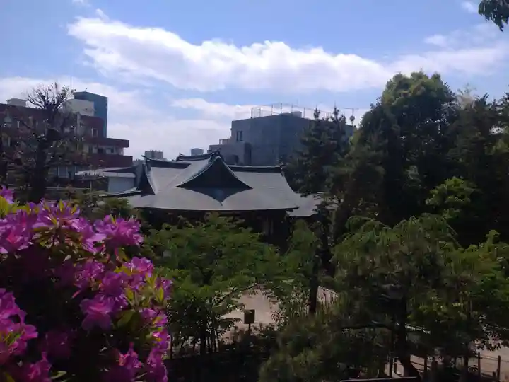 鳩森八幡神社の景色