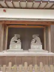 調神社の狛犬