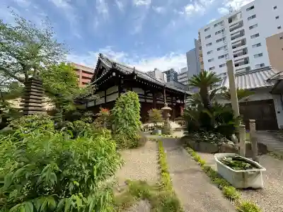 正念寺の{uncategorized: "未分類", other: "その他", undefined: "問題あり", building: "その他建物", grave: "お墓", sacred_gate: "鳥居", guardian: "狛犬", statue: "像", buddha: "仏像", history: "歴史", nature: "自然", garden: "庭園", animal: "動物", pagoda: "塔", temizu: "手水舎", mountain_gate: "山門・神門", sanctuary: "本殿・本堂", subordinate: "末社・摂社", art: "芸術", scenery: "景色", jizo: "地蔵", ema: "絵馬", goshuin: "御朱印", omikuji: "おみくじ", items: "授与品その他", amulet: "お守り", goshuincho: "御朱印帳", eats: "食事", festival: "お祭り", votive_dance: "神楽", shichigosan: "七五三参", wedding: "結婚式", experience: "体験その他", initially: "初詣", around: "周辺", anti_infection: "感染症対策"}