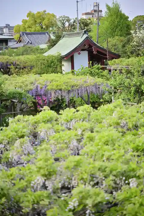 亀戸天神社(東京都)