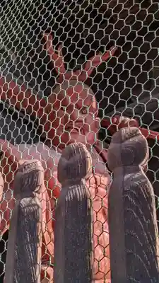 清凉寺(京都府)