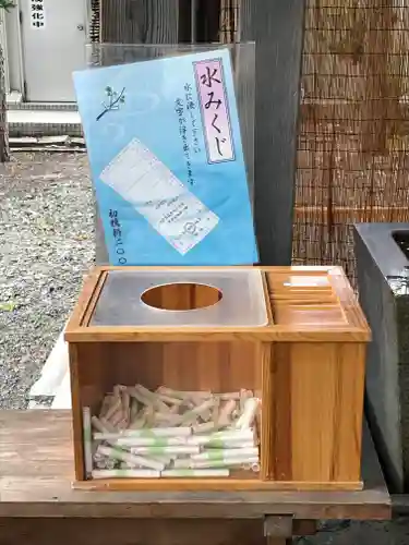 札幌諏訪神社のおみくじ